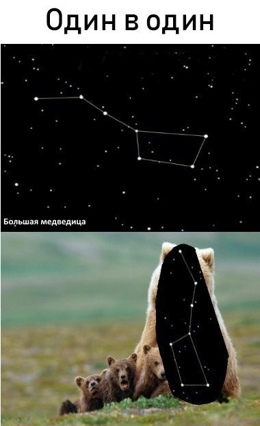Как найти тихоходку