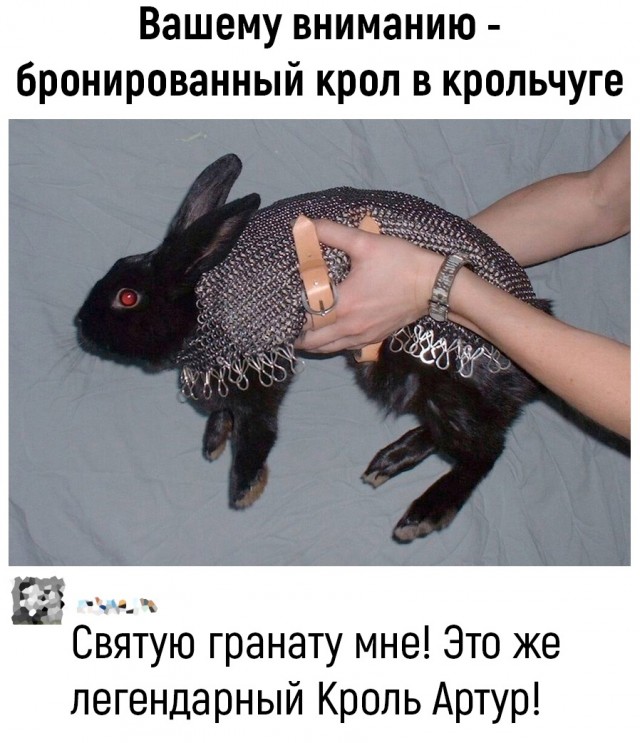 Картинки и мемы, выходные продолжаются