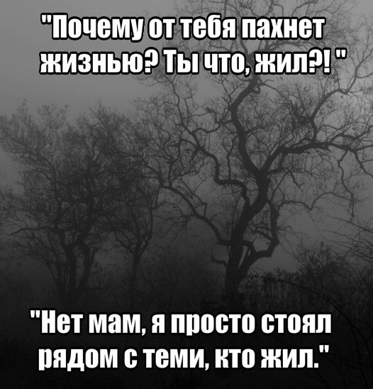 Мемасы из мемори (баяны)