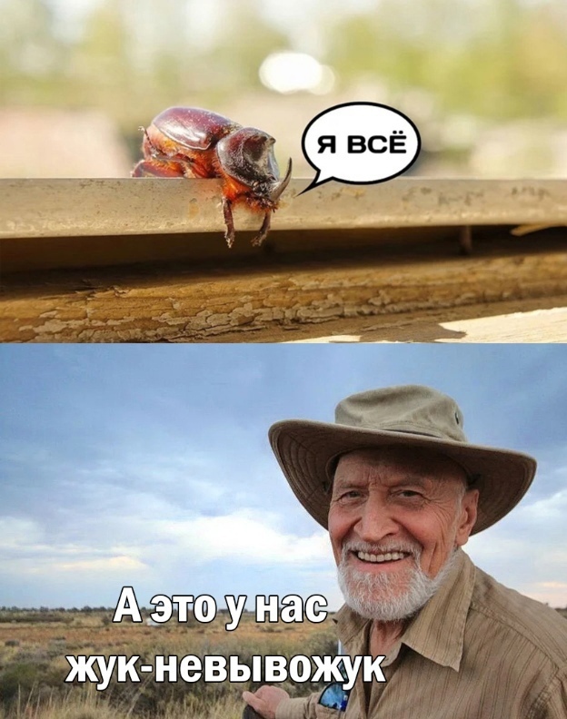 Так себе картинки 12.10.23