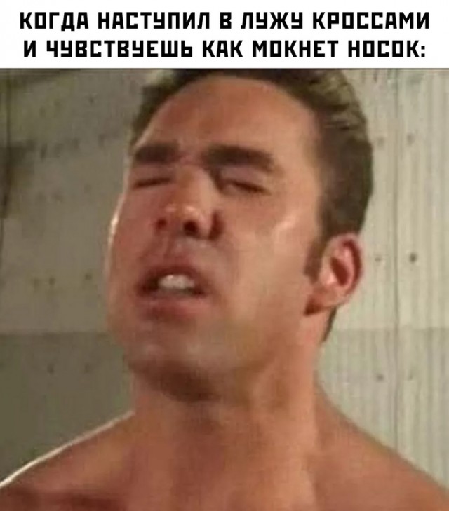 Весёлый полтишок 09.11.23