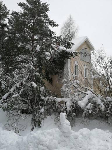 Показываем свои деревья