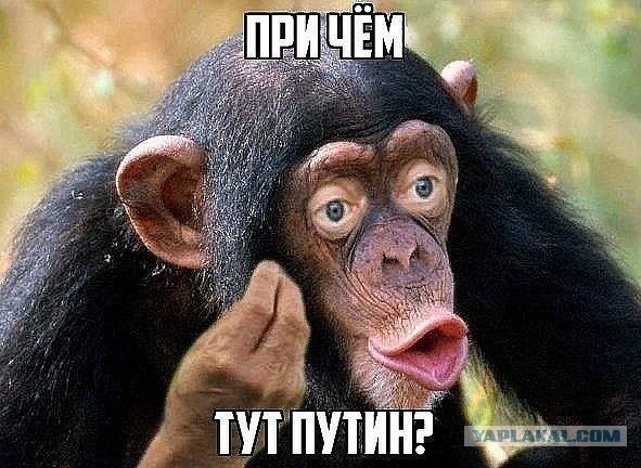 Сын судьи из Винницы снял трэш видео, на котором заявил что "в рот еб*л Зеленского, СБУ и ВСУ"