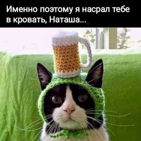 ФотоВинегрет из 50 пикч