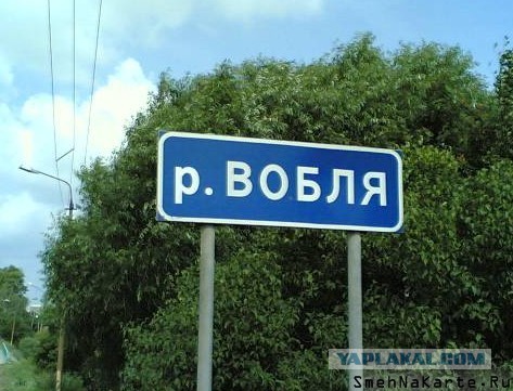 Запрет на мат в СМИ привел к уничтожению поселка