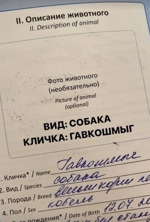 https://s00.yaplakal.com/pics/pics_original/5/1/0/19293015.jpg