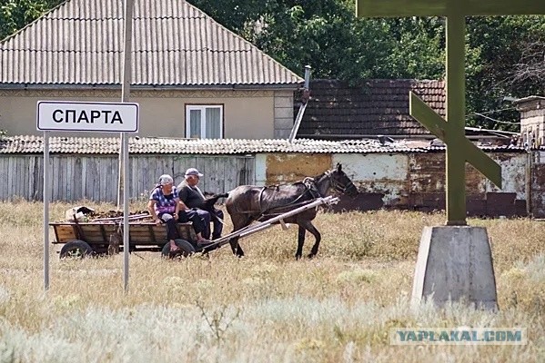 Это Спарта! 6 вещей, которые сделали спартанцев теми, кто они есть