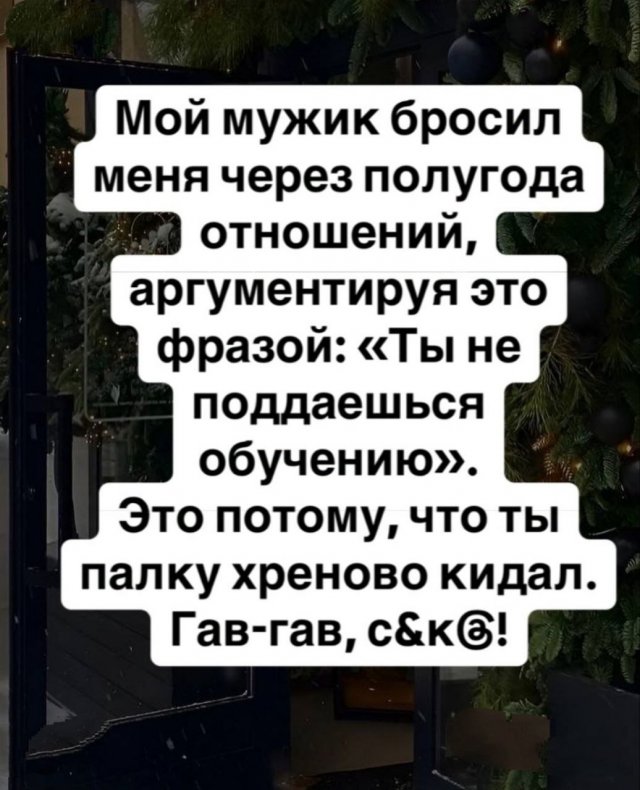 Так себе картинки 24.12.24