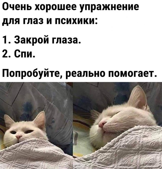 35 картинок от соседа Петросяна