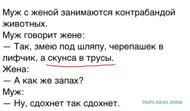 Так себе картинки 22.03.25