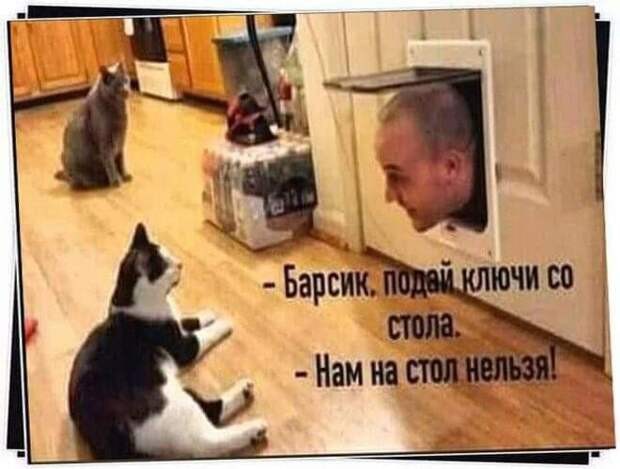 Хороший мальчик