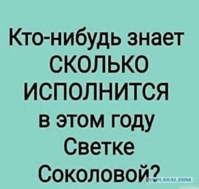 Юмор для тех, кто уже повзрослел и понял, что «личная жизнь» — это кот и плед