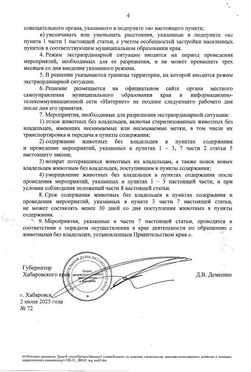 Эвтаназию бродячих собак разрешили в Хабаровском крае после многочисленных нападений на людей