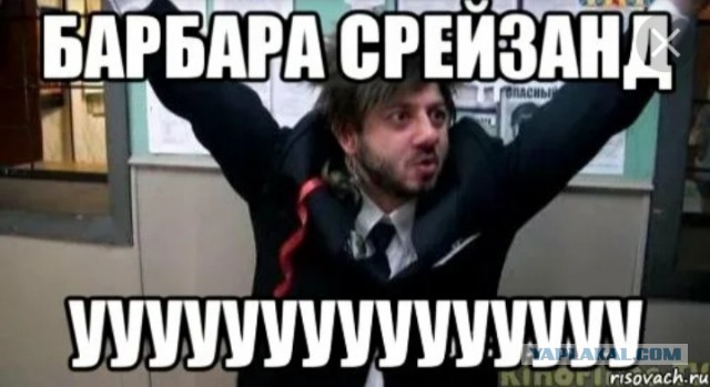 Си Си Кетч