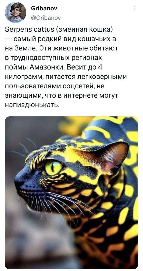 Чучуть картинок разных
