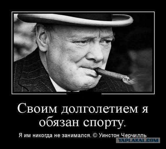 Кто на спорте