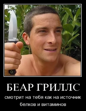 Ворон догнал крысу и съел