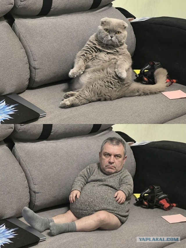Новый тренд ИИ