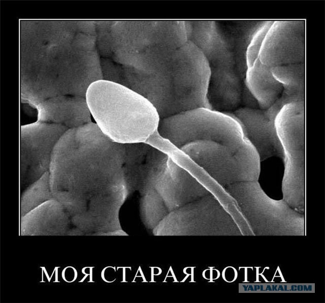 Дотроллился, придурок?