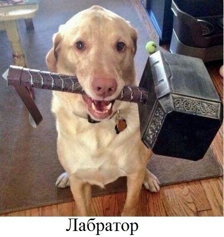 Старьё, честно