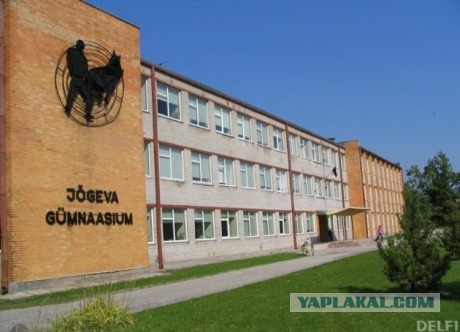 Какая она высокая!