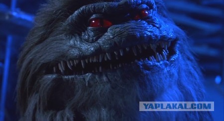 Стоять бояться!