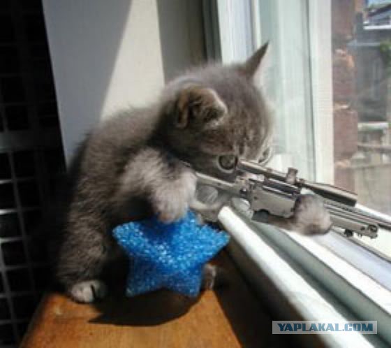 Ну вы поняли о чем я
