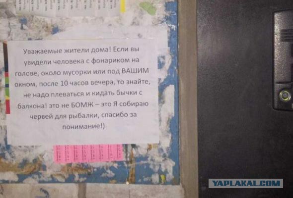 Картинки, объявления - 2
