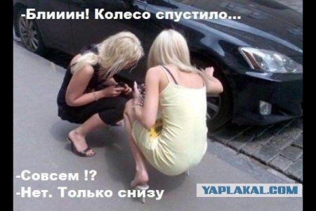 Смешные комментарии из соц. сетей