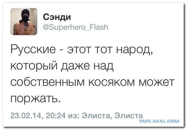 Смешные комментарии из социальных сетей (часть 5)