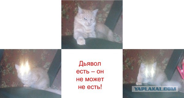 Зверюга!