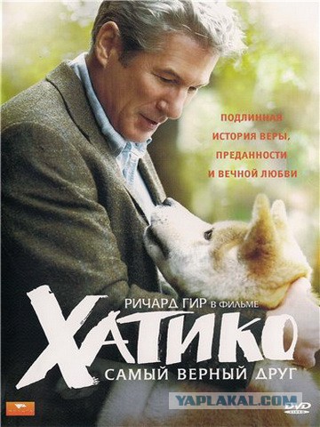 20 фильмов, от которых нам хочется жить