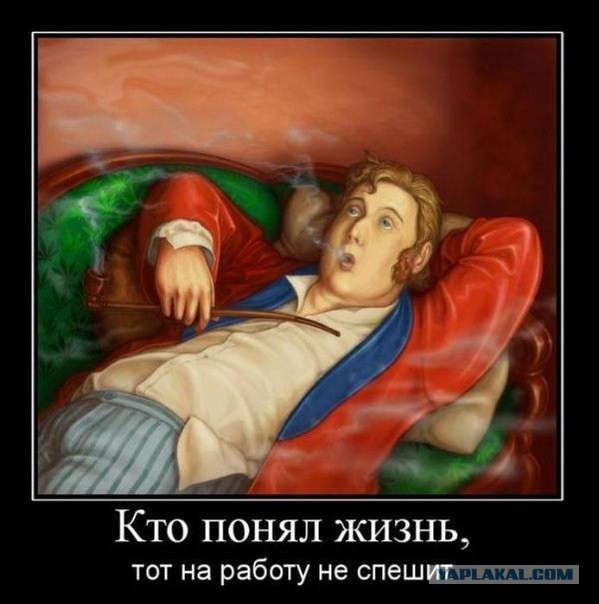 Беженцы с Украины не рвутся работать в России.
