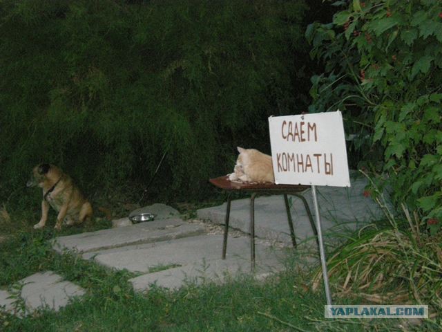 Отчет о поездке в Крым