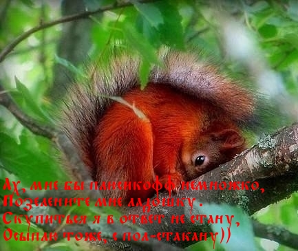 Чёрт, чёрт, чёрт!