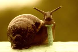 Переговоры в Минске