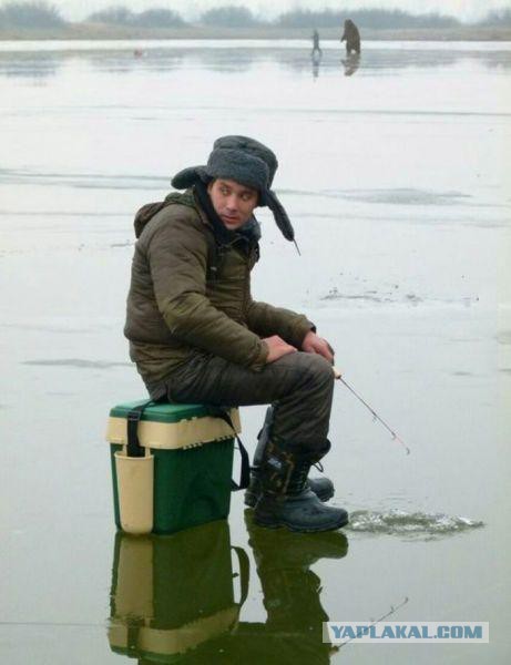 Веселое из сети