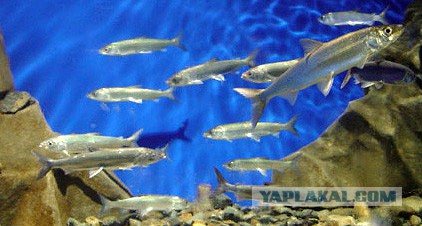 35 уникальных мест планеты, которые удивят