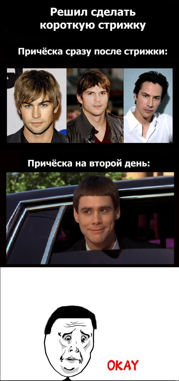 Из-за занавески