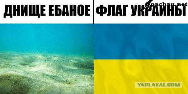 17.06.15 На украинском ТВ призвали к созданию конц