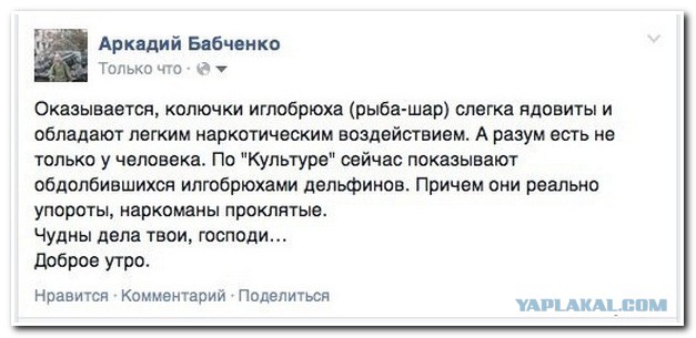 Смешные комментарии из социальных сетей