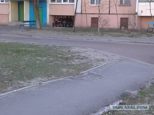 Картинки разные