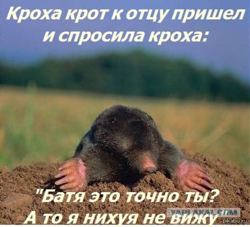 Минутка наркомании на ЯПе