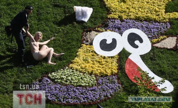 Femen пристроили талисманам Евро-2012 гениталии