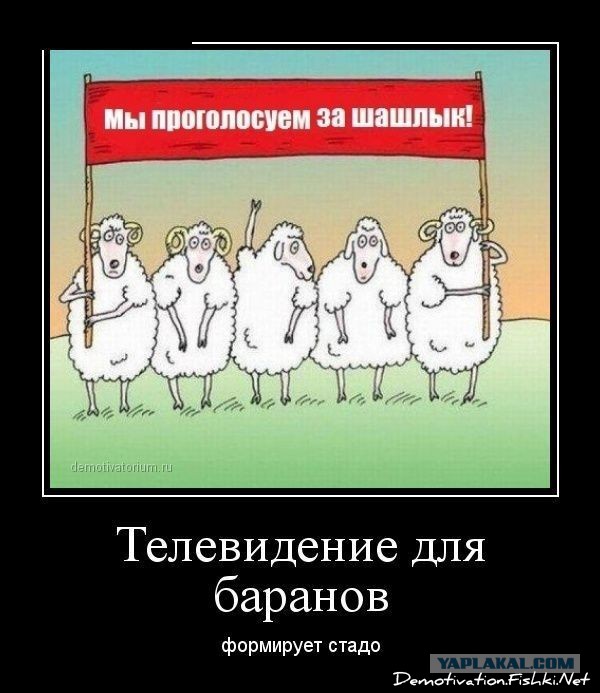 План B с блекджеком и шлюхами