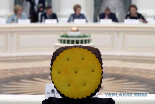 Фотожабы на кандибобер
