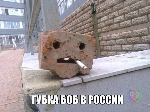 Прикольные картинки