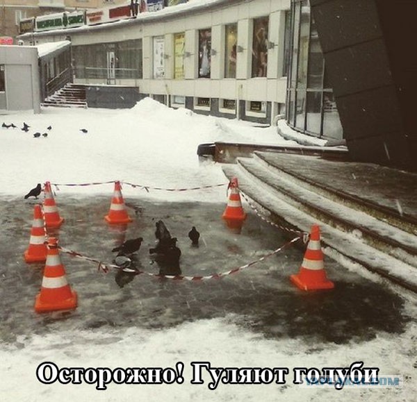 Подборка прикольных картинок