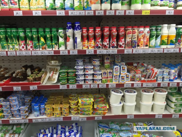 Путин: слова Медведева о пенсиях "вырваны из контекста"