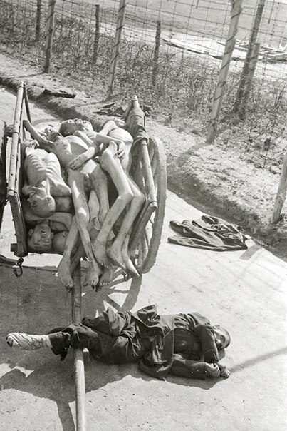 10 ударов 1944 года. 4 часть